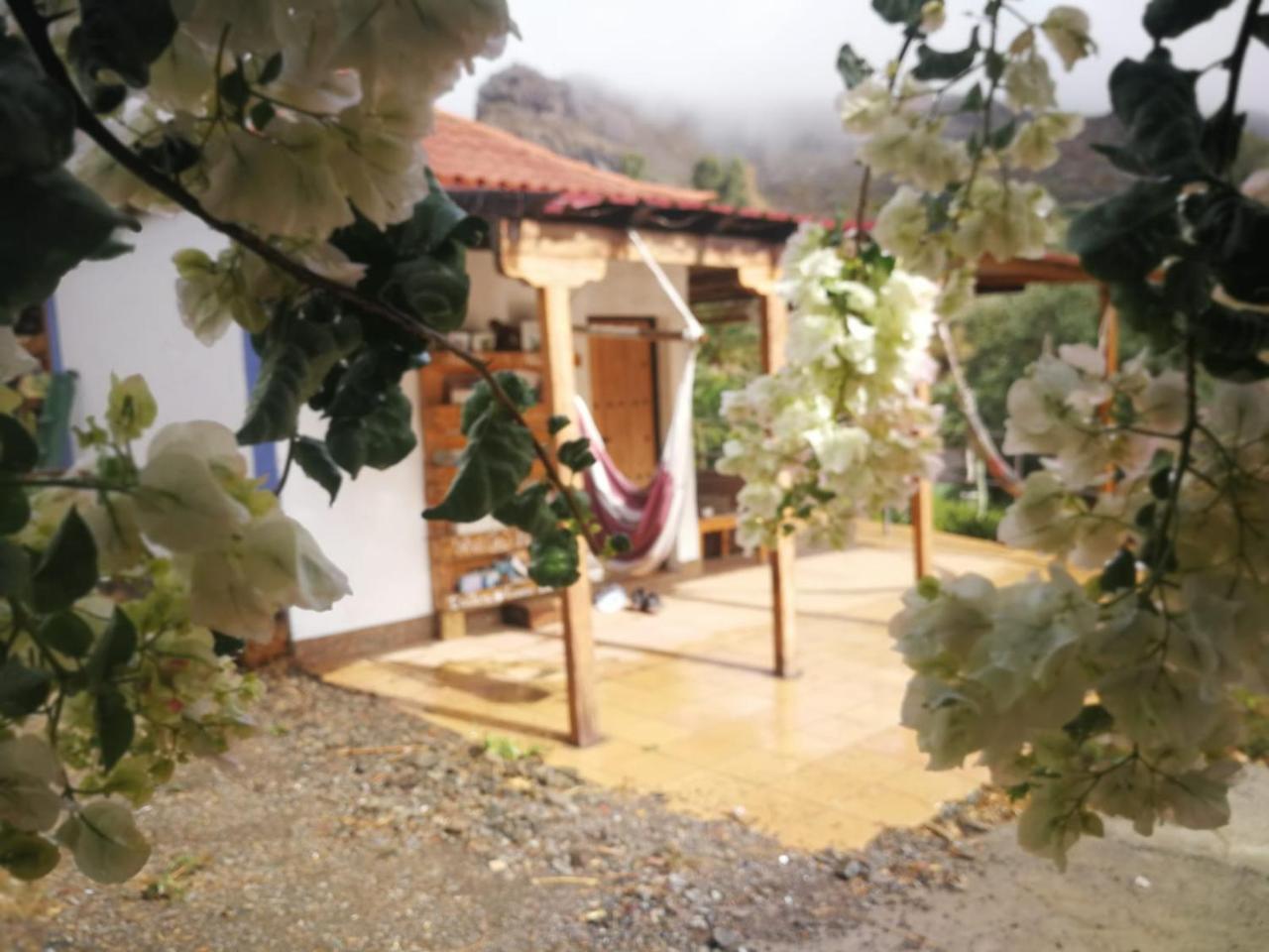 Ecotara Canary Islands Guest House Fátaga Eksteriør bilde