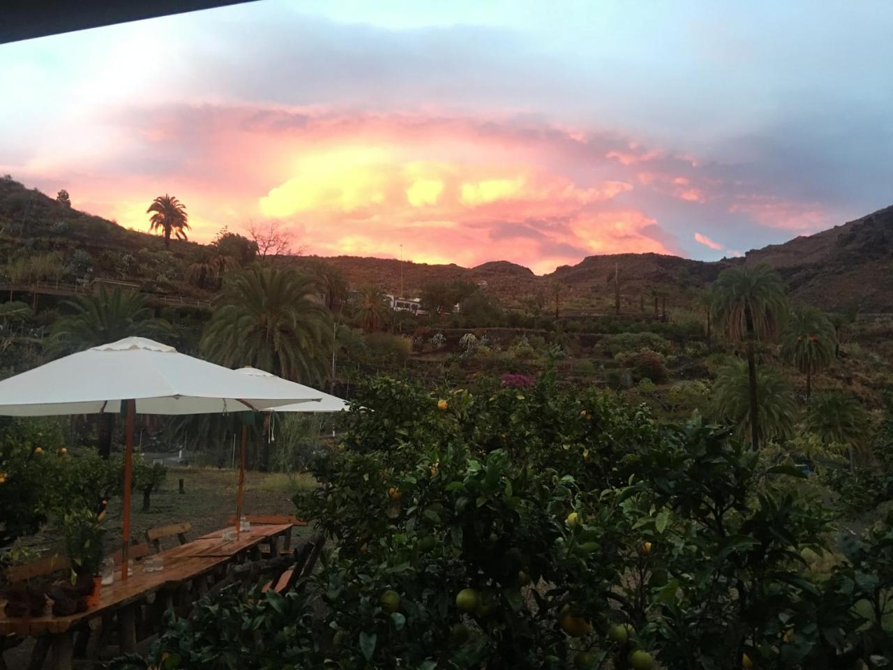 Ecotara Canary Islands Guest House Fátaga Eksteriør bilde