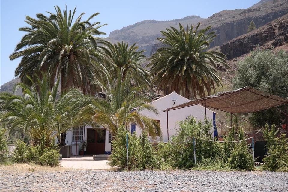 Ecotara Canary Islands Guest House Fátaga Eksteriør bilde